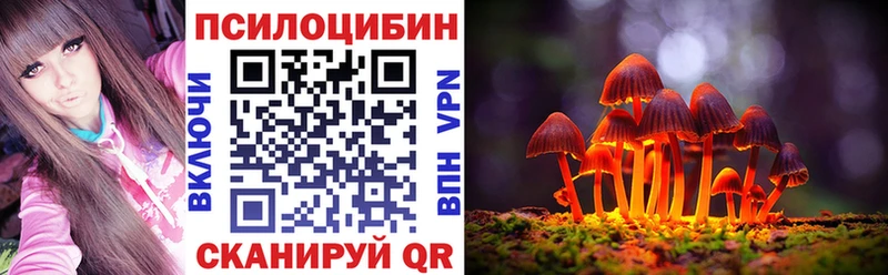 как найти   Сенгилей  Псилоцибиновые грибы Magic Shrooms 